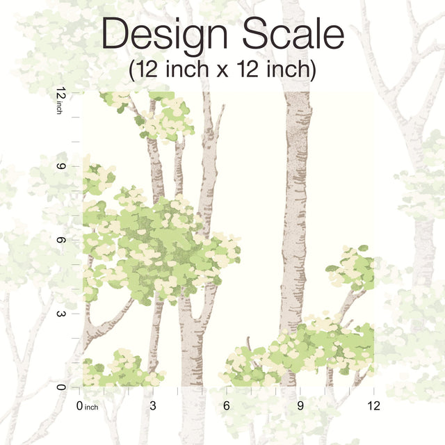 Birch Grove Green Peel & Stick Wallpaper with Botanical Birch Tree Pattern - York RMK12342PLW