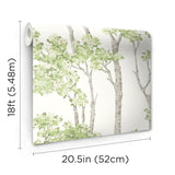 Birch Grove Green Peel & Stick Wallpaper with Botanical Birch Tree Pattern - York RMK12342PLW