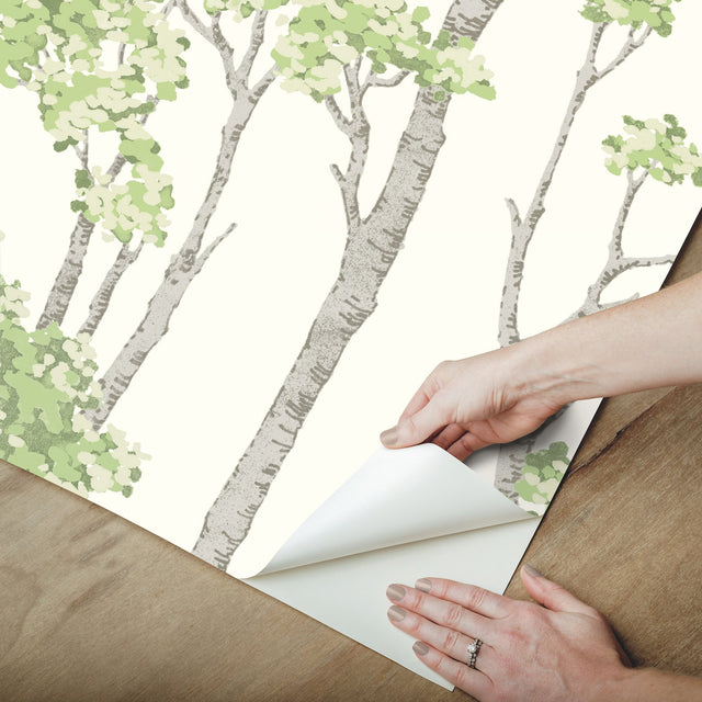 Birch Grove Green Peel & Stick Wallpaper with Botanical Birch Tree Pattern - York RMK12342PLW