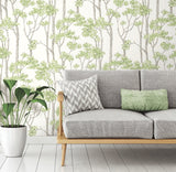 Birch Grove Green Peel & Stick Wallpaper with Botanical Birch Tree Pattern - York RMK12342PLW