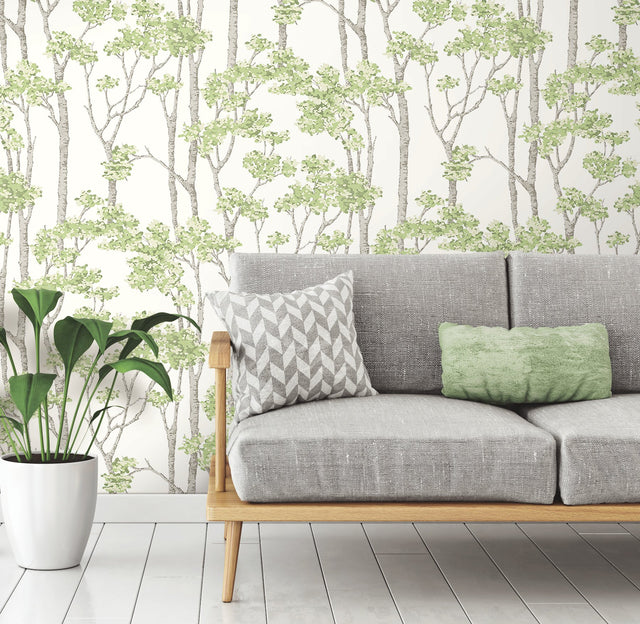 Birch Grove Green Peel & Stick Wallpaper with Botanical Birch Tree Pattern - York RMK12342PLW