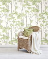 Birch Grove Green Peel & Stick Wallpaper with Botanical Birch Tree Pattern - York RMK12342PLW
