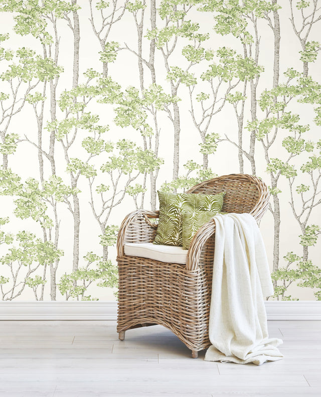 Birch Grove Green Peel & Stick Wallpaper with Botanical Birch Tree Pattern - York RMK12342PLW
