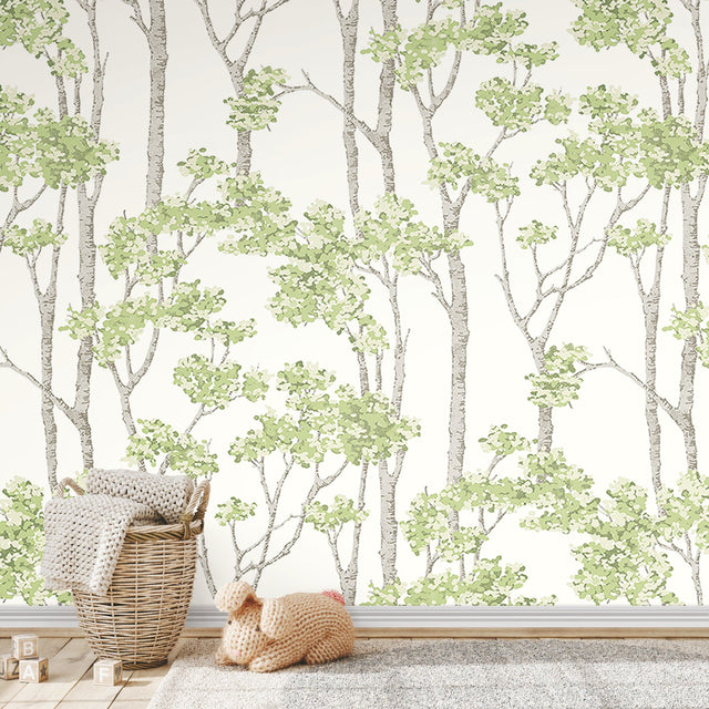 Birch Grove Green Peel & Stick Wallpaper with Botanical Birch Tree Pattern - York RMK12342PLW