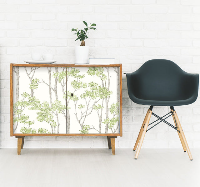 Birch Grove Green Peel & Stick Wallpaper with Botanical Birch Tree Pattern - York RMK12342PLW
