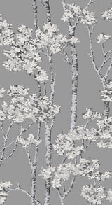 Birch Grove Grey Peel & Stick Wallpaper with Botanical Birch Trees Motif - York RMK12343PLW