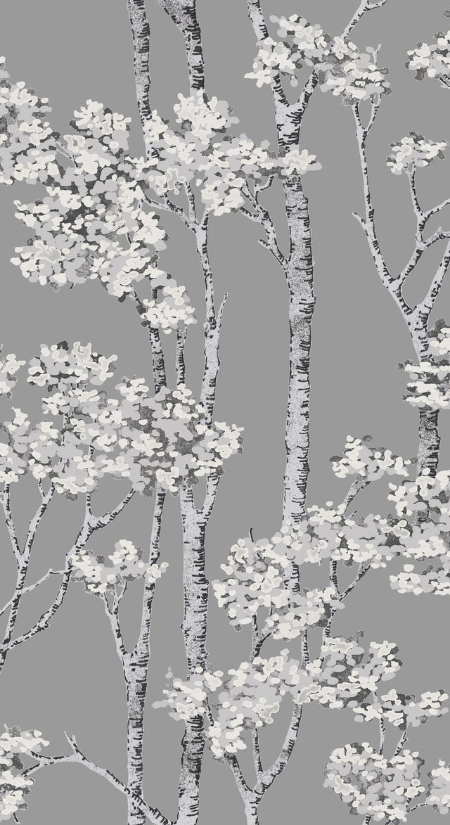 Birch Grove Grey Peel & Stick Wallpaper with Botanical Birch Trees Motif - York RMK12343PLW