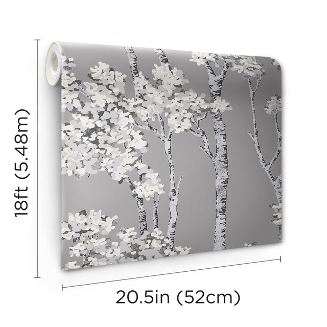 Birch Grove Grey Peel & Stick Wallpaper with Botanical Birch Trees Motif - York RMK12343PLW