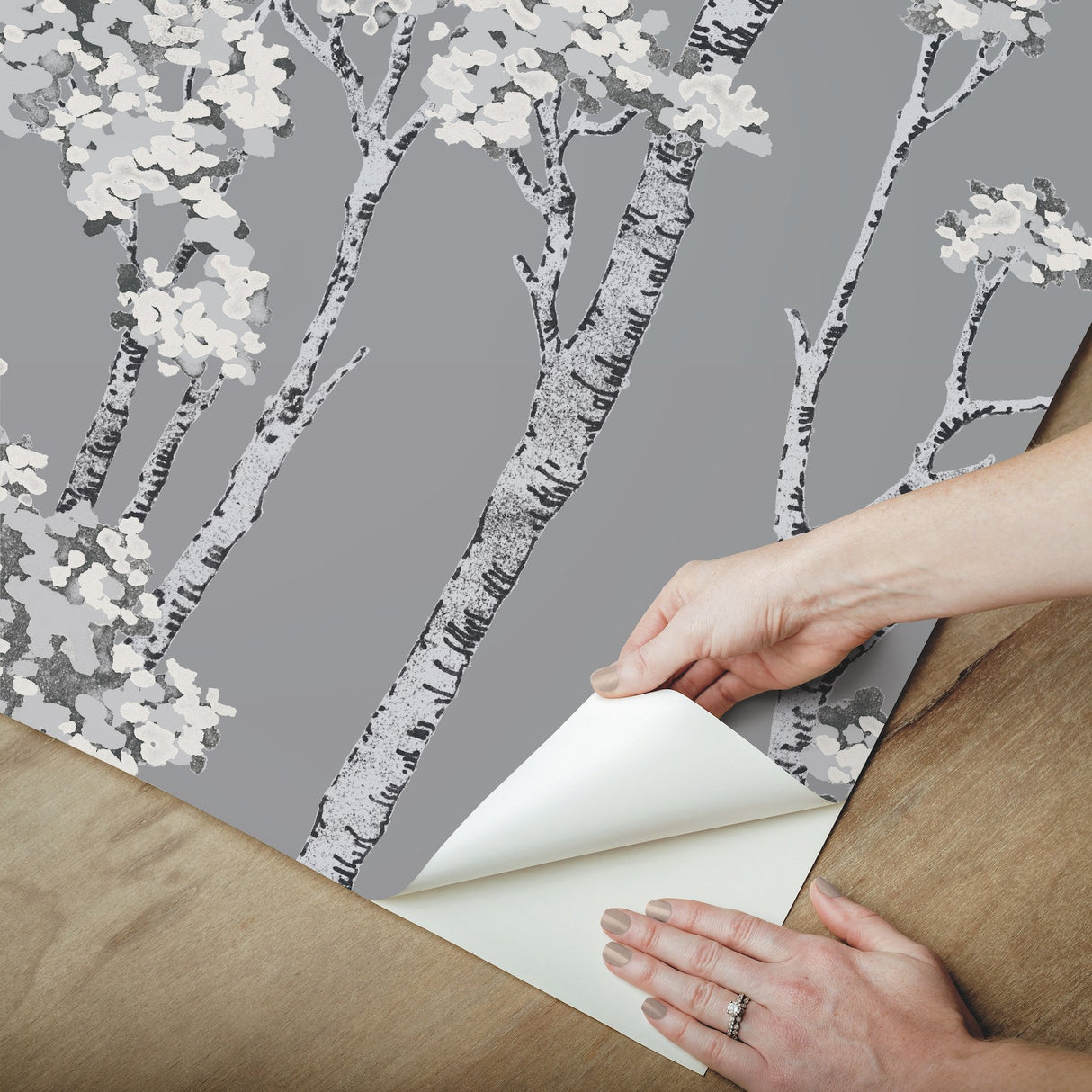 Birch Grove Grey Peel & Stick Wallpaper with Botanical Birch Trees Motif - York RMK12343PLW