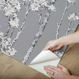 Birch Grove Grey Peel & Stick Wallpaper with Botanical Birch Trees Motif - York RMK12343PLW