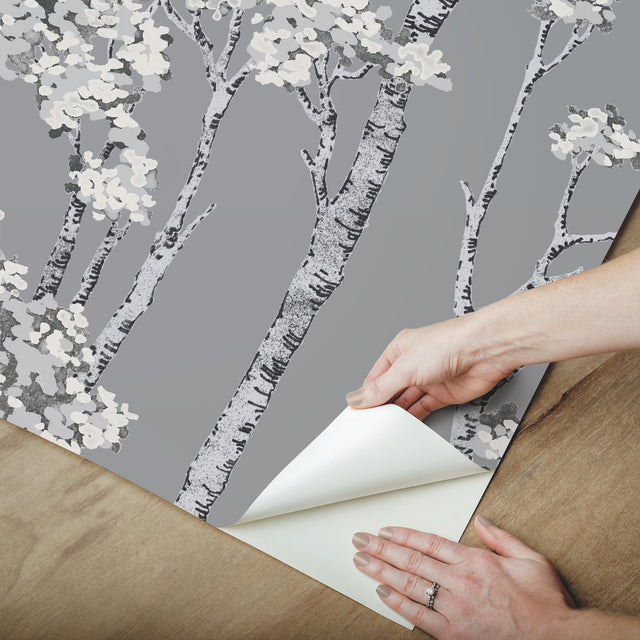 Birch Grove Grey Peel & Stick Wallpaper with Botanical Birch Trees Motif - York RMK12343PLW