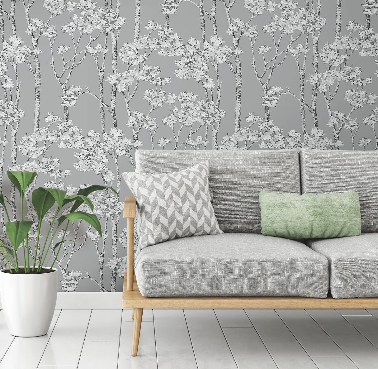 Birch Grove Grey Peel & Stick Wallpaper with Botanical Birch Trees Motif - York RMK12343PLW