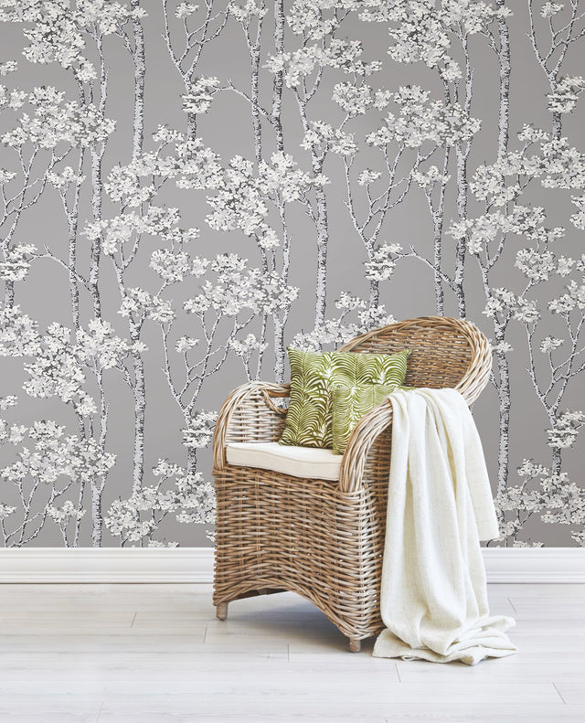 Birch Grove Grey Peel & Stick Wallpaper with Botanical Birch Trees Motif - York RMK12343PLW