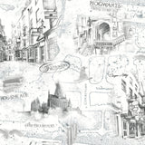Harry Potter Map White Peel & Stick Vinyl Wallpaper with Whimsical Novelty Pattern - York RMK12353PL