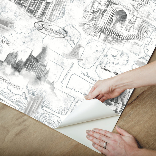 Harry Potter Map White Peel & Stick Vinyl Wallpaper with Whimsical Novelty Pattern - York RMK12353PL