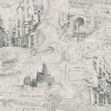 Harry Potter Map Taupe Peel & Stick Wallpaper with Whimsical Novelty Pattern - York RMK12354PL