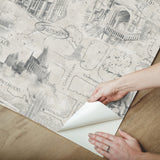 Harry Potter Map Taupe Peel & Stick Wallpaper with Whimsical Novelty Pattern - York RMK12354PL