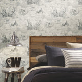 Harry Potter Map Taupe Peel & Stick Wallpaper with Whimsical Novelty Pattern - York RMK12354PL