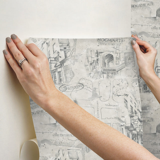 Harry Potter Map Taupe Peel & Stick Wallpaper with Whimsical Novelty Pattern - York RMK12354PL