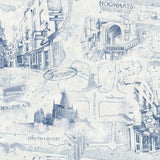 Harry Potter Map Blue Peel & Stick Vinyl Wallpaper with Whimsical Novelty Pattern - York RMK12355PL