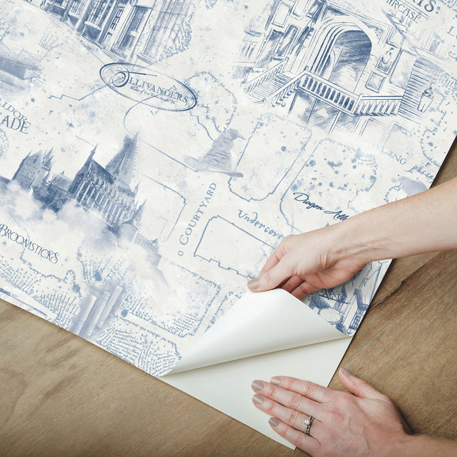 Harry Potter Map Blue Peel & Stick Vinyl Wallpaper with Whimsical Novelty Pattern - York RMK12355PL