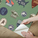 Jurassic World Badges Green Peel & Stick Wallpaper with Retro Dinosaur Patch Motif - York RMK12396RL