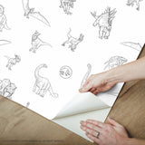 Jurassic World Dinosaurs Black Peel & Stick Wallpaper with Novelty Line-Art Dinosaur Pattern, Whimsical Licensed Style - York RMK12398RL