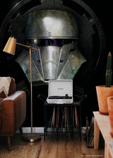 Star Wars Mandalorian Helmet Grey Peel & Stick Wall Mural with Novelty Kids Style - York RMK12399M