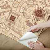 Harry Potter Marauder's Map Sepia Peel & Stick Wallpaper with Vintage Map Motif - York RMK12435RL