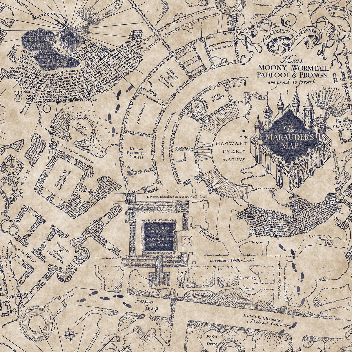 Harry Potter Marauder's Map Blue Peel & Stick Wallpaper with Novelty Kids Pattern - York RMK12436RL