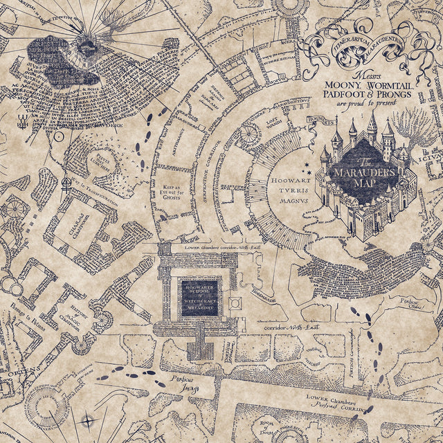 Harry Potter Marauder's Map Blue Peel & Stick Wallpaper with Novelty Kids Pattern - York RMK12436RL