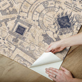 Harry Potter Marauder's Map Blue Peel & Stick Wallpaper with Novelty Kids Pattern - York RMK12436RL