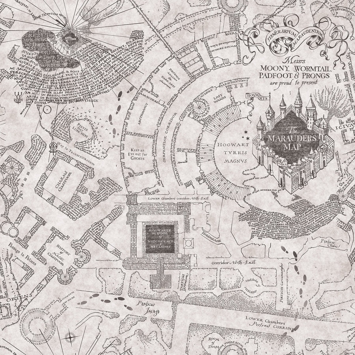 Harry Potter Marauder's Map Grey Peel & Stick Vinyl Wallpaper with Novelty Kids Style - York RMK12437RL