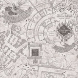 Harry Potter Marauder's Map Grey Peel & Stick Vinyl Wallpaper with Novelty Kids Style - York RMK12437RL