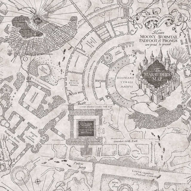 Harry Potter Marauder's Map Grey Peel & Stick Vinyl Wallpaper with Novelty Kids Style - York RMK12437RL