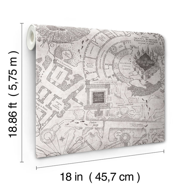 Harry Potter Marauder's Map Grey Peel & Stick Vinyl Wallpaper with Novelty Kids Style - York RMK12437RL