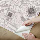Harry Potter Marauder's Map Grey Peel & Stick Vinyl Wallpaper with Novelty Kids Style - York RMK12437RL