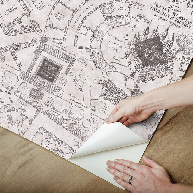 Harry Potter Marauder's Map Grey Peel & Stick Vinyl Wallpaper with Novelty Kids Style - York RMK12437RL