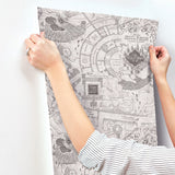 Harry Potter Marauder's Map Grey Peel & Stick Vinyl Wallpaper with Novelty Kids Style - York RMK12437RL