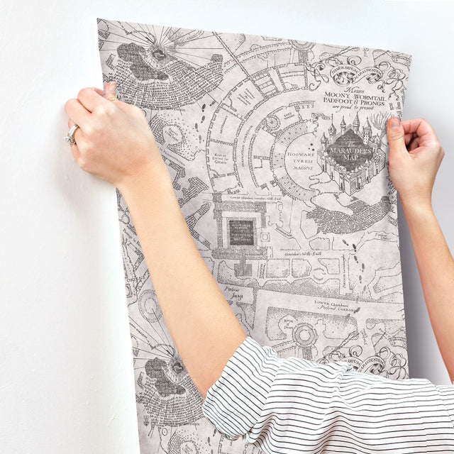 Harry Potter Marauder's Map Grey Peel & Stick Vinyl Wallpaper with Novelty Kids Style - York RMK12437RL