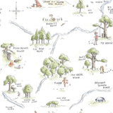 Winnie The Pooh 100 Acre Wood Map Multicolor Peel & Stick Wallpaper with Licensed Disney Map Motif - York RMK12440RL