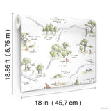Winnie The Pooh 100 Acre Wood Map Multicolor Peel & Stick Wallpaper with Licensed Disney Map Motif - York RMK12440RL