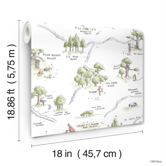 Winnie The Pooh 100 Acre Wood Map Multicolor Peel & Stick Wallpaper with Licensed Disney Map Motif - York RMK12440RL