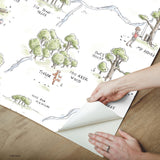Winnie The Pooh 100 Acre Wood Map Multicolor Peel & Stick Wallpaper with Licensed Disney Map Motif - York RMK12440RL