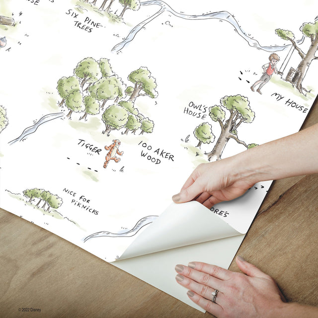 Winnie The Pooh 100 Acre Wood Map Multicolor Peel & Stick Wallpaper with Licensed Disney Map Motif - York RMK12440RL