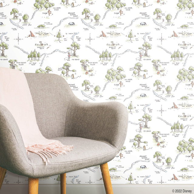 Winnie The Pooh 100 Acre Wood Map Multicolor Peel & Stick Wallpaper with Licensed Disney Map Motif - York RMK12440RL