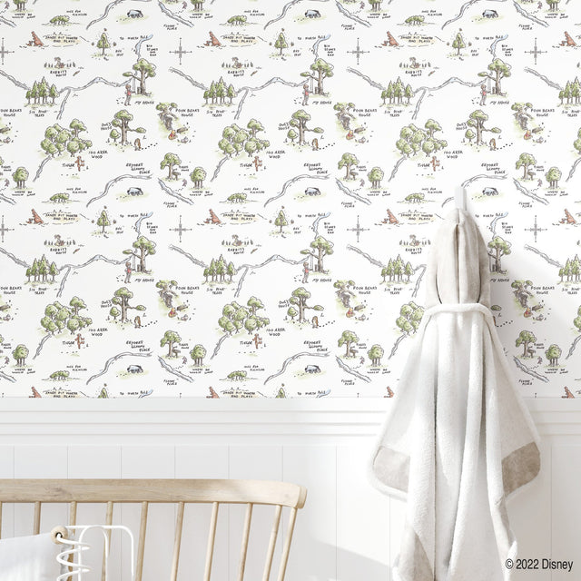 Winnie The Pooh 100 Acre Wood Map Multicolor Peel & Stick Wallpaper with Licensed Disney Map Motif - York RMK12440RL