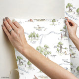 Winnie The Pooh 100 Acre Wood Map Multicolor Peel & Stick Wallpaper with Licensed Disney Map Motif - York RMK12440RL