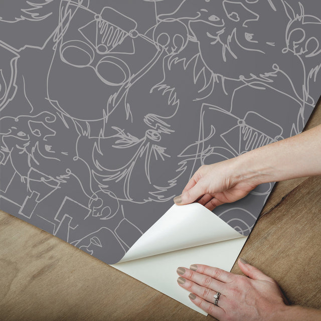 Star Wars Saga Line Sketches Grey Peel & Stick Wallpaper with Licensed Novelty Line-Art Pattern - York RMK12453PL