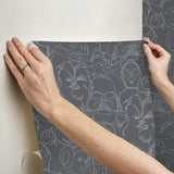 Star Wars Saga Line Sketches Grey Peel & Stick Wallpaper with Licensed Novelty Line-Art Pattern - York RMK12453PL